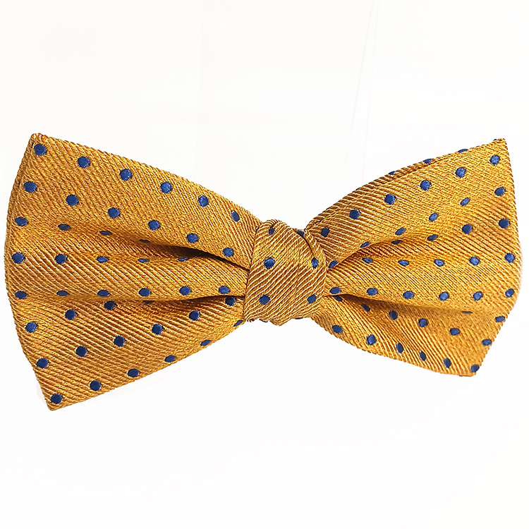 Laço-amarelo-com-bolas-azuis-(2).jpg